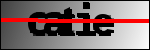 متن برای شناسایی